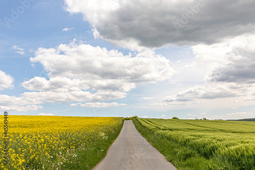 alley in rural area in Michelstadt