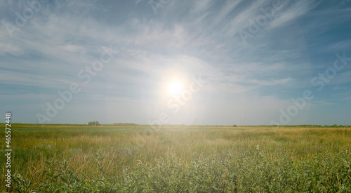 the sun shines in the center over the green field. Summer landscape. Lots of grass