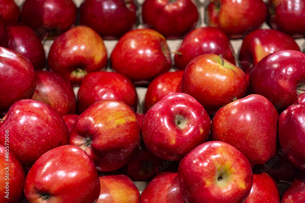 a lot of red juicy ripe apples on the grocery store window as wallpaper for decoration a lot of red juicy ripe apples on the grocery store window as wallpaper for decoration
