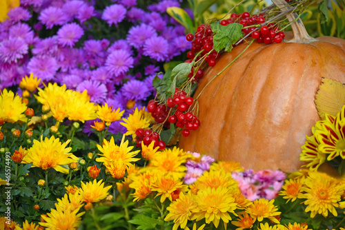 autumn still life of pumpkins and flowers in the garden. Vintage style 