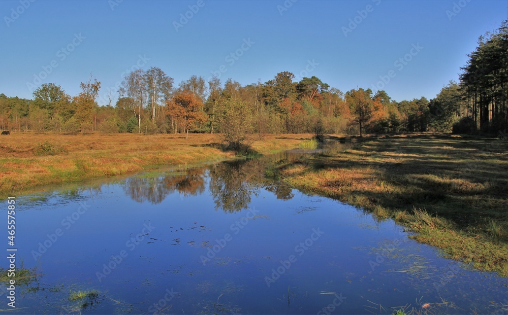 a deep blue natural pool with reflection in a colorful forest at a sunny day in autumn a deep blue natural pool with reflection in a colorful forest at a sunny day in autumn