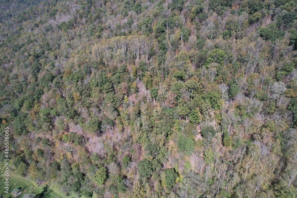 Fall Appalachian Aerial View