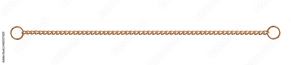Metal collar chain for a dog isolated on white background
