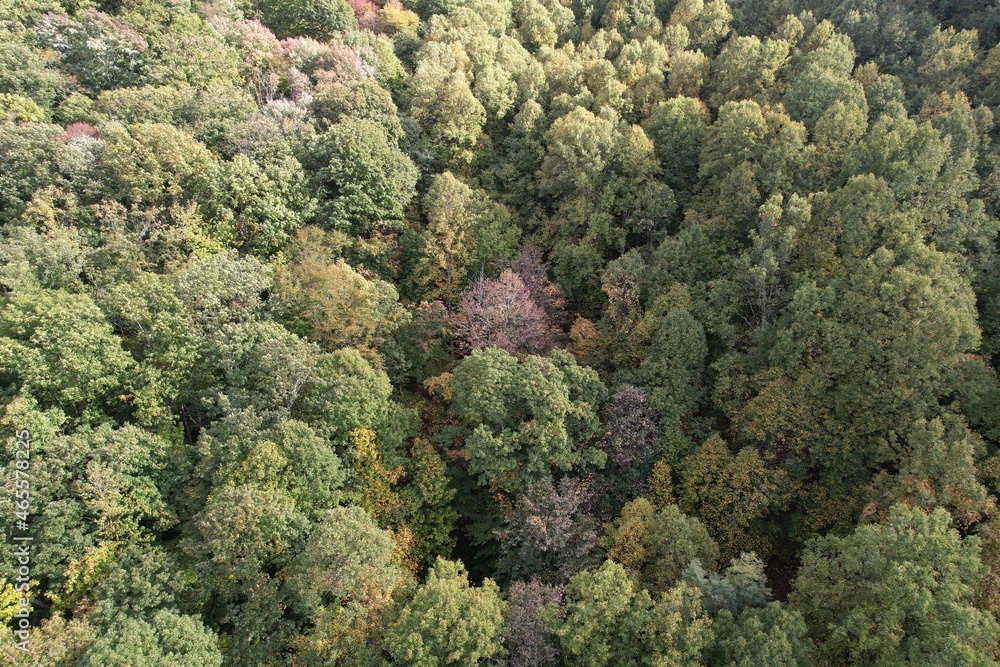 Naklejka premium Autumn View West Virginia 