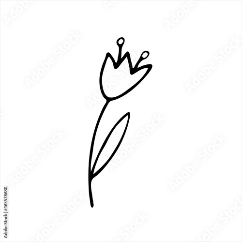 Hand-drawn flowers.Doodle style, sketch, drawing with floral floral elements, minimalism. Isolated. Vector illustration.