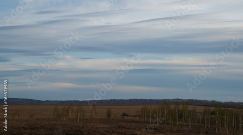 Fototapeta Naklejka Na Ścianę i Meble -  clouds over the forest