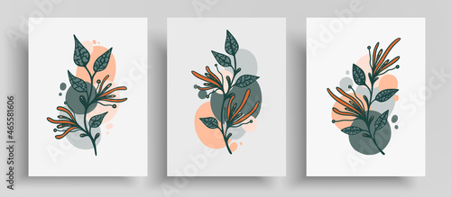 Abstract minimalistic template layout with botanical elements and round shapes. Vector set with outline plants and pastel circles that designed for wall decoration, postcard or poster, cover design.