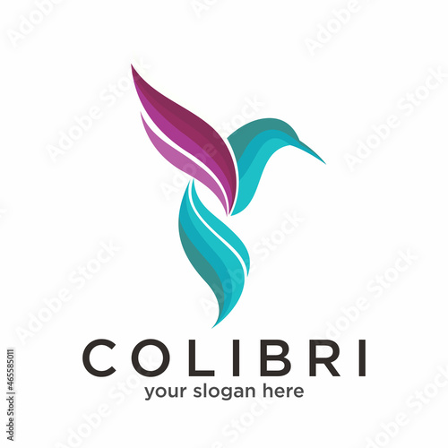 Humming bird colorful logo Vector