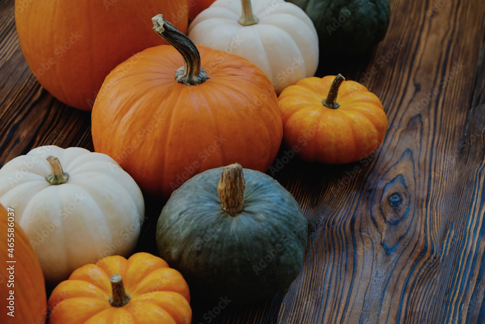 Bunch of pumpkins of different kinds, shapes and colors on wooden background as a symbol of autumnal holidays with a lot of copy space for text. Bunch of pumpkins of different kinds, shapes and colors on wooden background as a symbol of autumnal holidays with a lot of copy space for text.