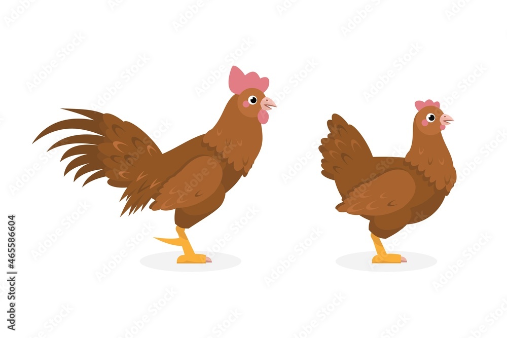 Fototapeta premium Brown hen and rooster. Vector Stock illustration.