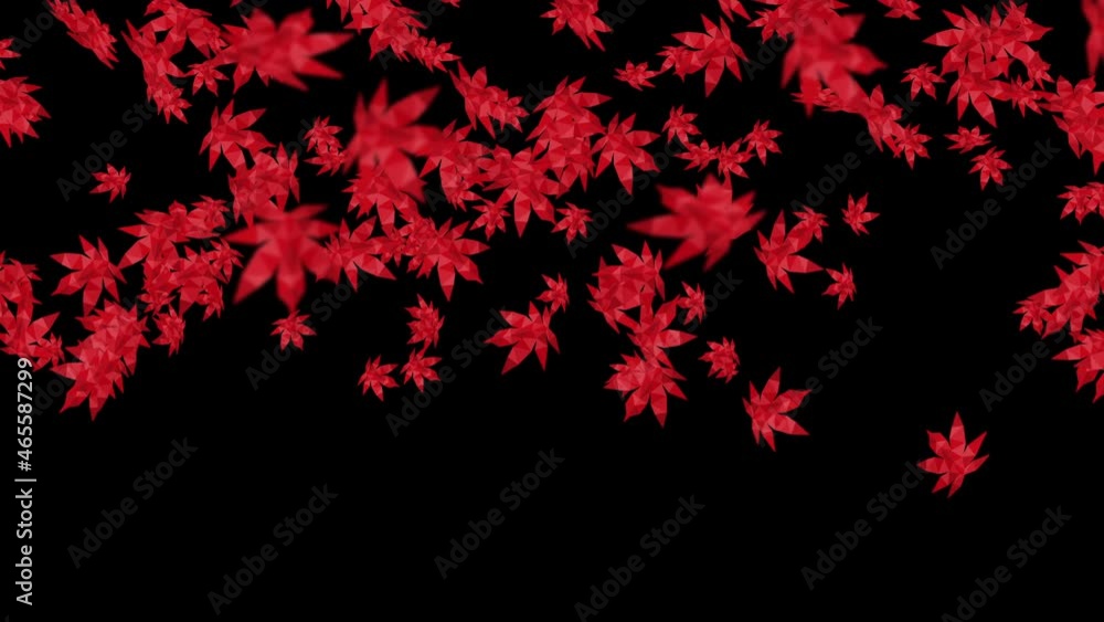 Many red autumn leaves floating in air on black background. Low polygonal plant. Symbol of digital technology. Abstract loop animation. Many red autumn leaves floating in air on black background. Low polygonal plant. Symbol of digital technology. Abstract loop animation.