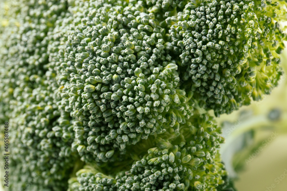 Broccoli vegetables close-up. Asparagus cabbage. Broccoli vegetables close-up. Asparagus cabbage.