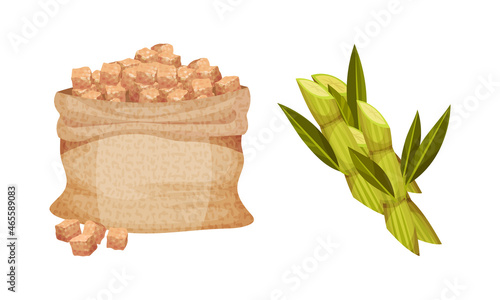 Pile of Brown Sugar Cubes in Sack and Sugarcane as Sweetener for Tea and Coffee Vector Set