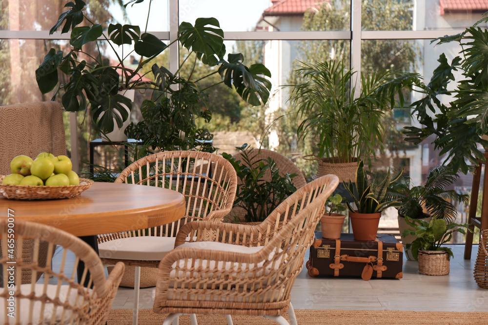 Stylish living room with beautiful plants. Interior design Stylish living room with beautiful plants. Interior design