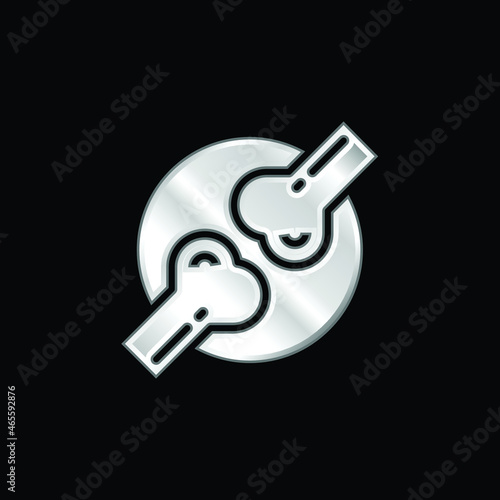 Bones silver plated metallic icon