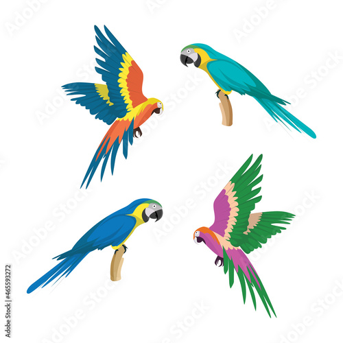 Bundle of colorful parrot illustration vector