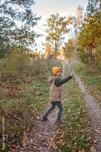 Inquisitive boy with a stick walks along the path and explores the beautiful forest during autumn walk. Outdoor lifestyle, active family lifestyle. Autumn road trip, outdoor lifestyle