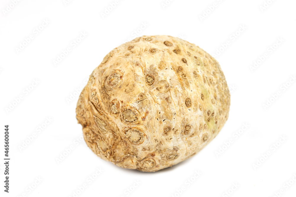 The fresh young heads of celeriac (celery) The fresh young heads of celeriac (celery)
