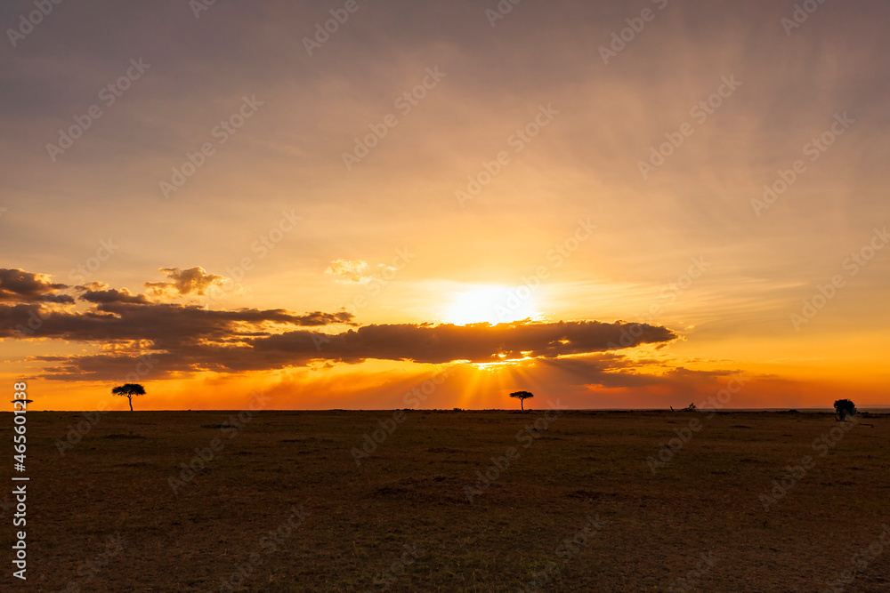 Sunset on the African savannah