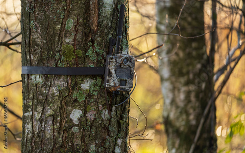 Forest animal tracking motion camera attached to the tree in nature.