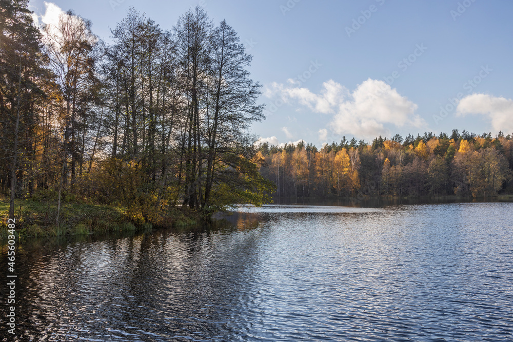 Sunny autumn in the park. Autumn landscape with colorful yellow, orange and red trees and reflection in the pond.