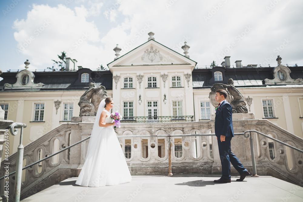 Perfect couple bride, groom posing and kissing in their wedding day Perfect couple bride, groom posing and kissing in their wedding day