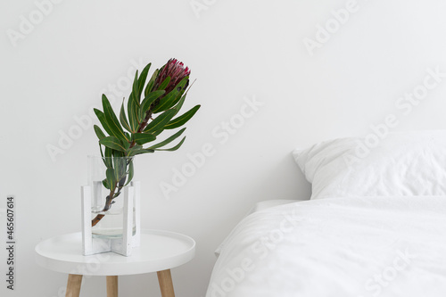 Flower near bed in apartment with white interior design
