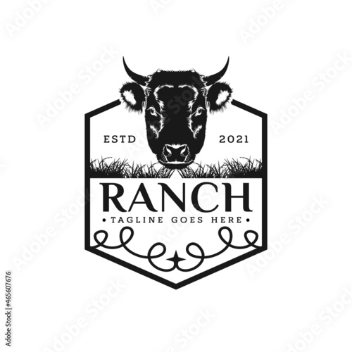 Angus Cow Farm Ranch Cattle Logo Design Inspiration