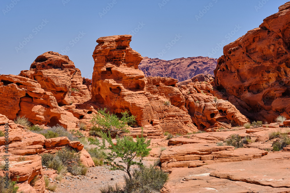 Sandstone outcrops in the high Nevada desert