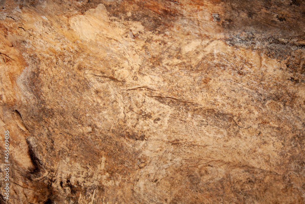 wood background. tree without bark wood background. tree without bark