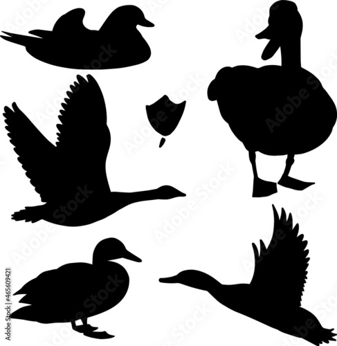 Set of hand drawn black duck silhouette birds, vector file