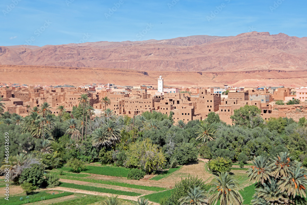 Oasis in the Dade Valey in Morocco Africa