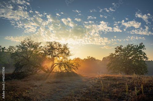 Herbst im Mainzer Sand
