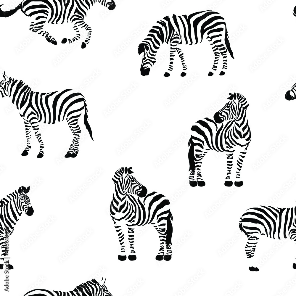 Striped zebra seamless pattern Vector - obrazy, fototapety, plakaty 