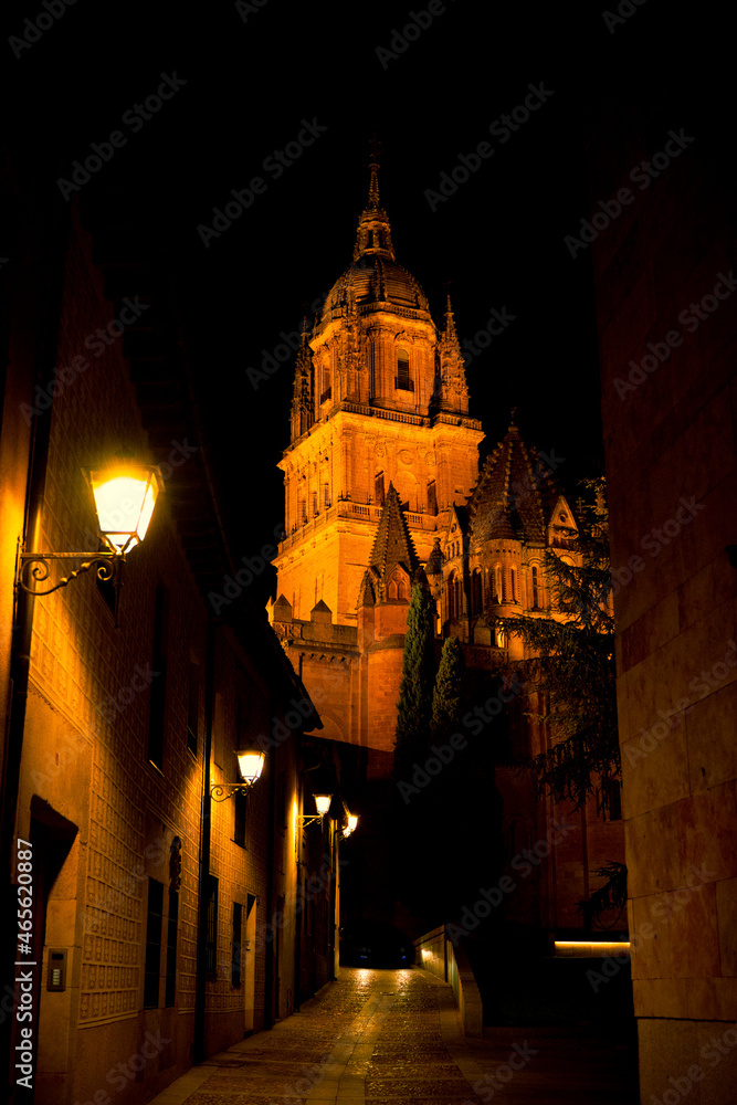Catedral de Salamanca por la noche