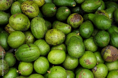 fresh green avocado background