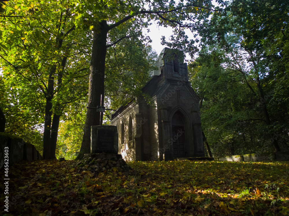 Obraz premium church in the woods