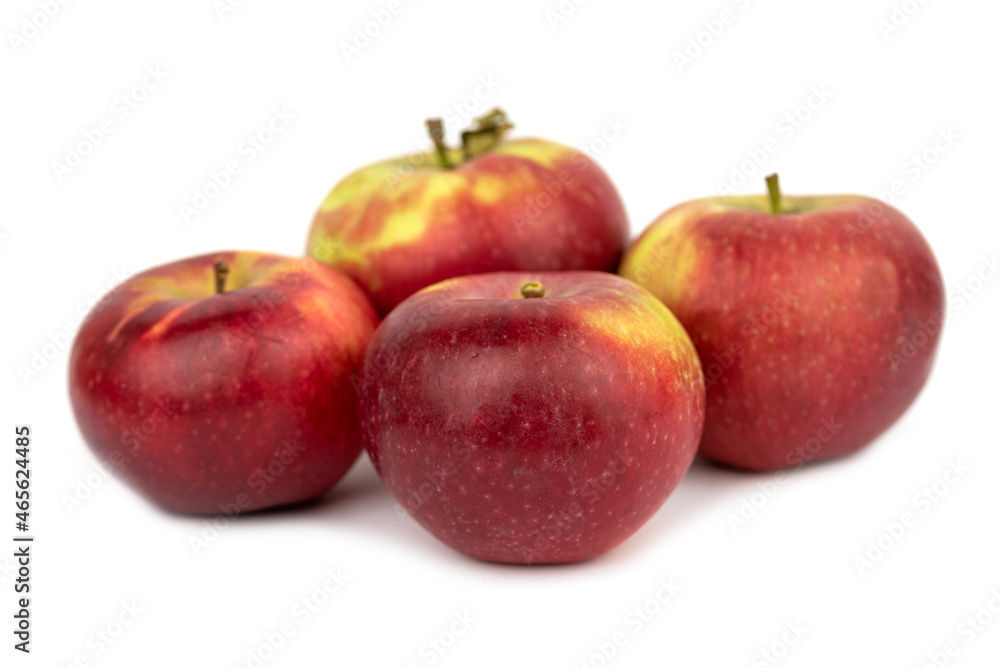 The sweet Lobo Apple Fruit