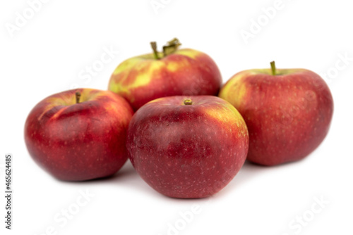 The sweet Lobo Apple Fruit