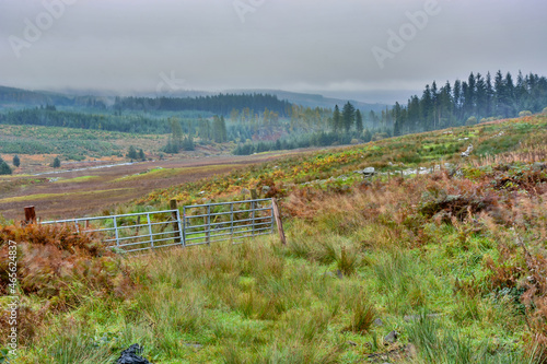 Dumfries and Galloway, Western Southern Uplands, Scotland, U.K. photo