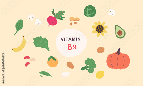 Vitamin B9 source.  Food enriched with folatin. Dairy products, vegetables, nuts.Nutrition, organic food.Vector illustration cartoon flat style.