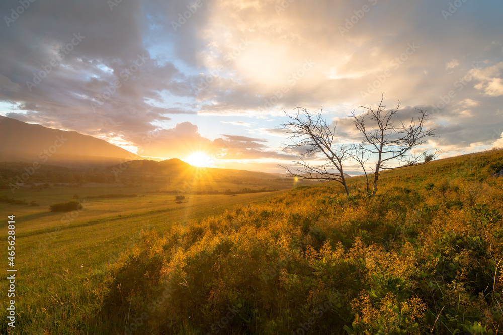 Fototapeta premium sunset in the field