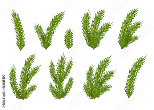 Set of Christmas fir branches for design isolated on white background. Vector illustration