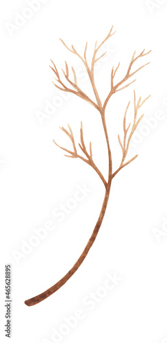 Decorative branch on a white background. Ideal decor for winter holidays.