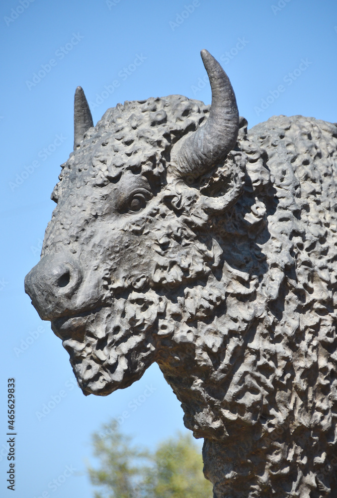 Buffalo Statue Closeup