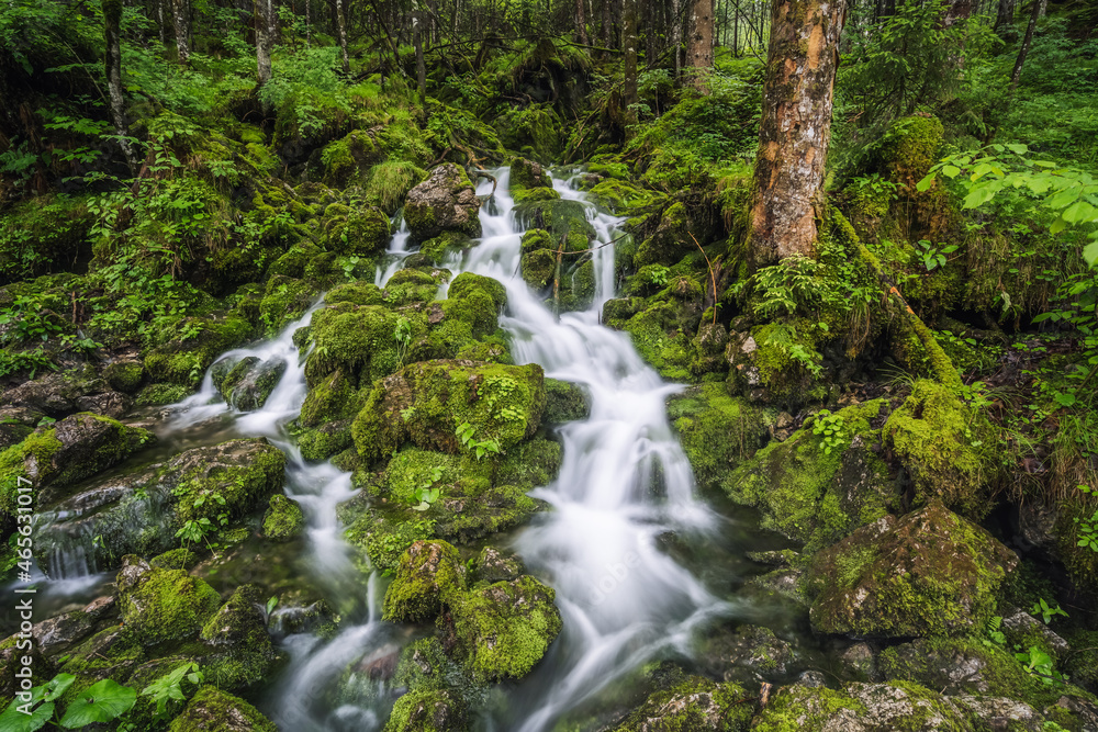 Fototapeta premium Stream in forest in Ramsau Berchtesgaden Bavaria, Germany, Europe