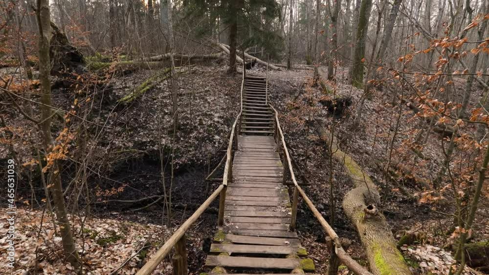 An old wooden bridge with stairs in the woods in autumn morning at sunrise. An old wooden bridge with stairs in the woods in autumn morning at sunrise.