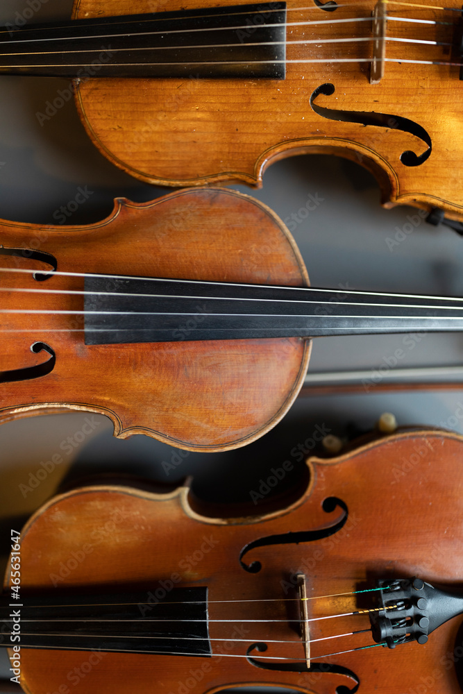 Fototapeta premium A top down view of multiple violins or violas that are common instrument of a classical orchestra