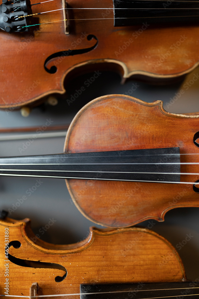 A top down view of multiple violins or violas that are common instrument of a classical orchestra A top down view of multiple violins or violas that are common instrument of a classical orchestra