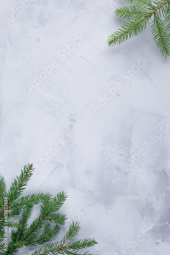 An empty space for text. Christmas background. Spruce branches background.